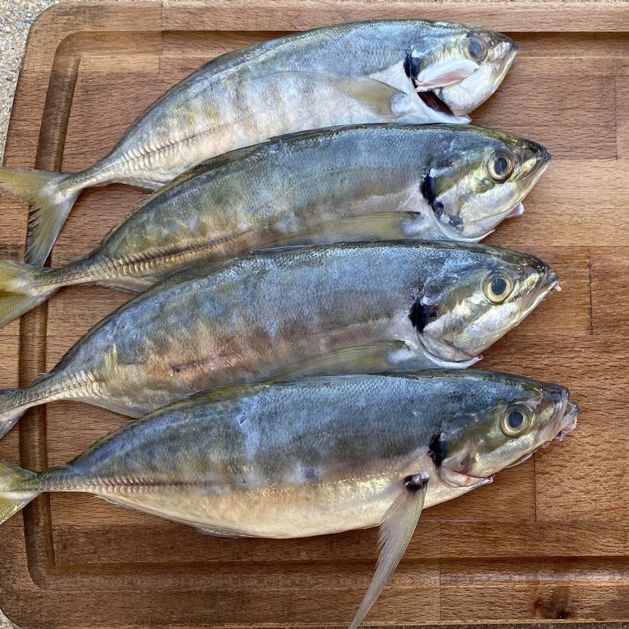 Selar Fish | 1kg