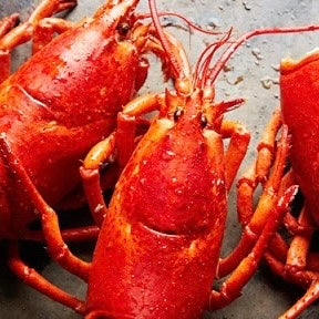 Lobster Heads | Frozen | 1kg