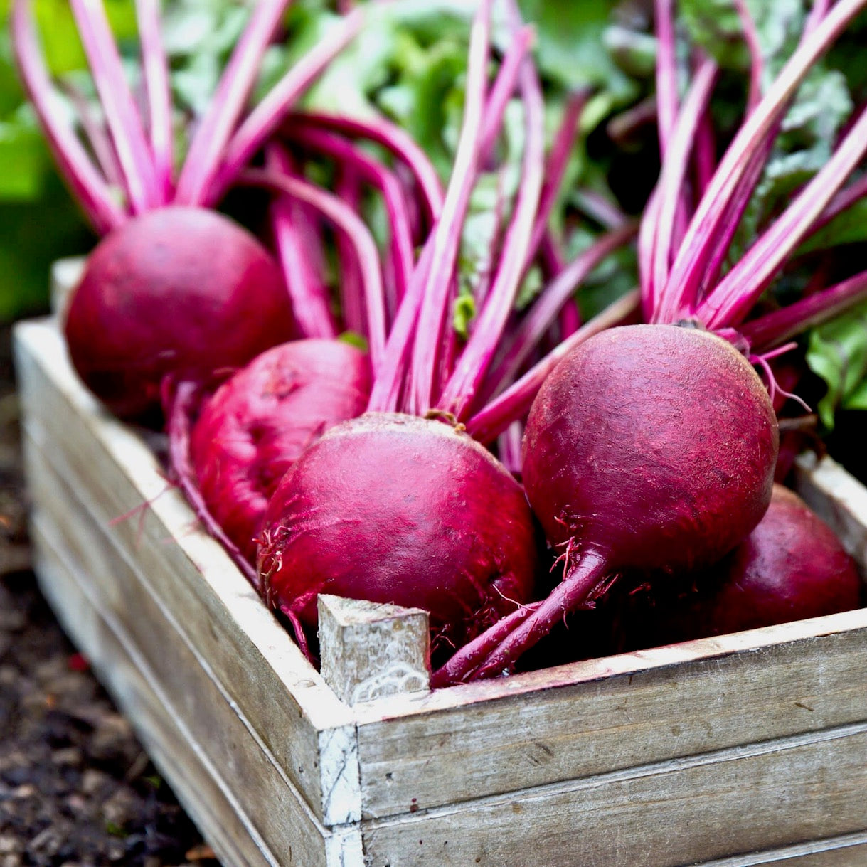 Beetroot baby | South Africa | 250g