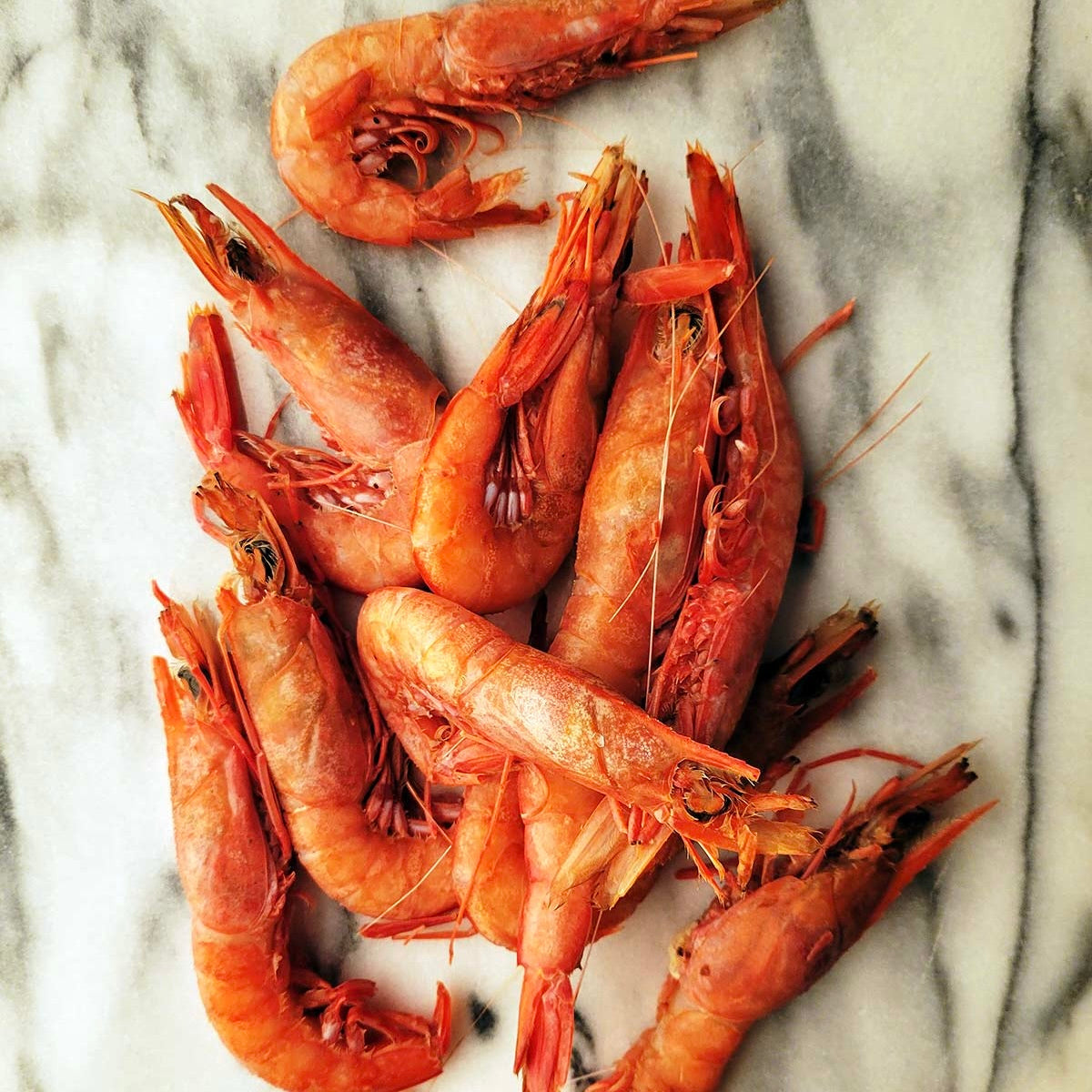 Argentinian Red Shrimp HOSO L1 10/20 | | 2kg