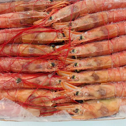 Sweet Shrimp Amaebi Whole Heat on | Sashimi Grade | Japan | 1kg