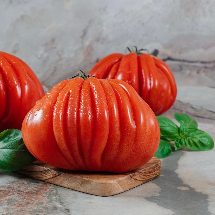 Tomatoes Coeur de Boeuf | Belgium | 3kg