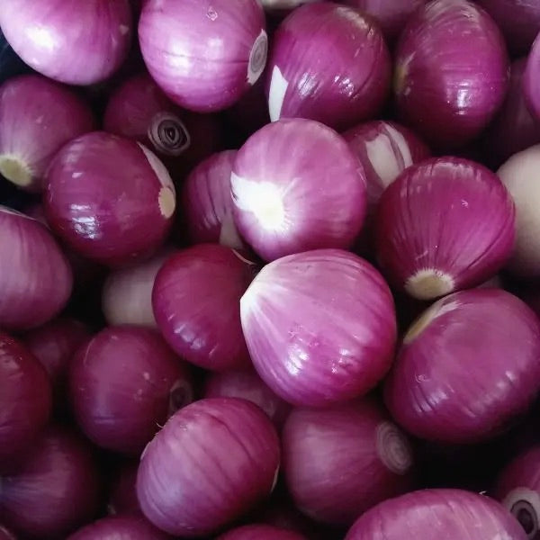 Onion Red Peeled | 1kg