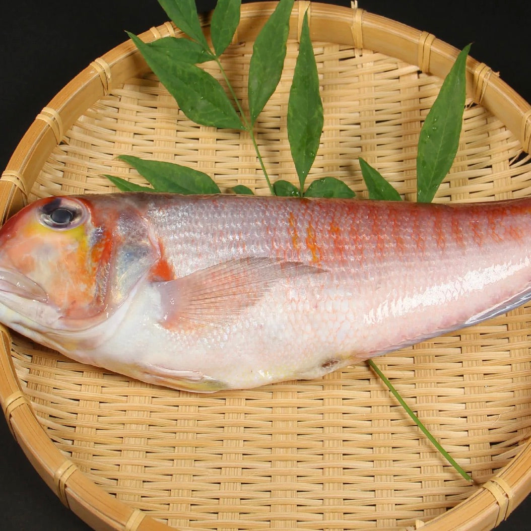 Red Tilefish (Amadai) Whole Gutted | Sashimi Grade | Japan | +/-400g