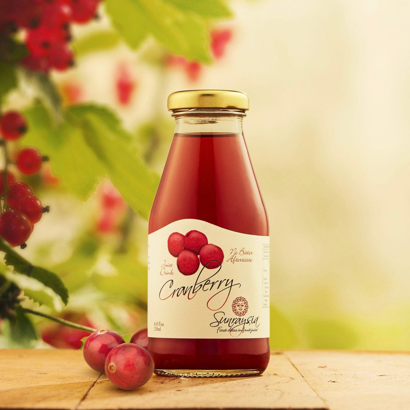 Cranberry Juice | 250ml