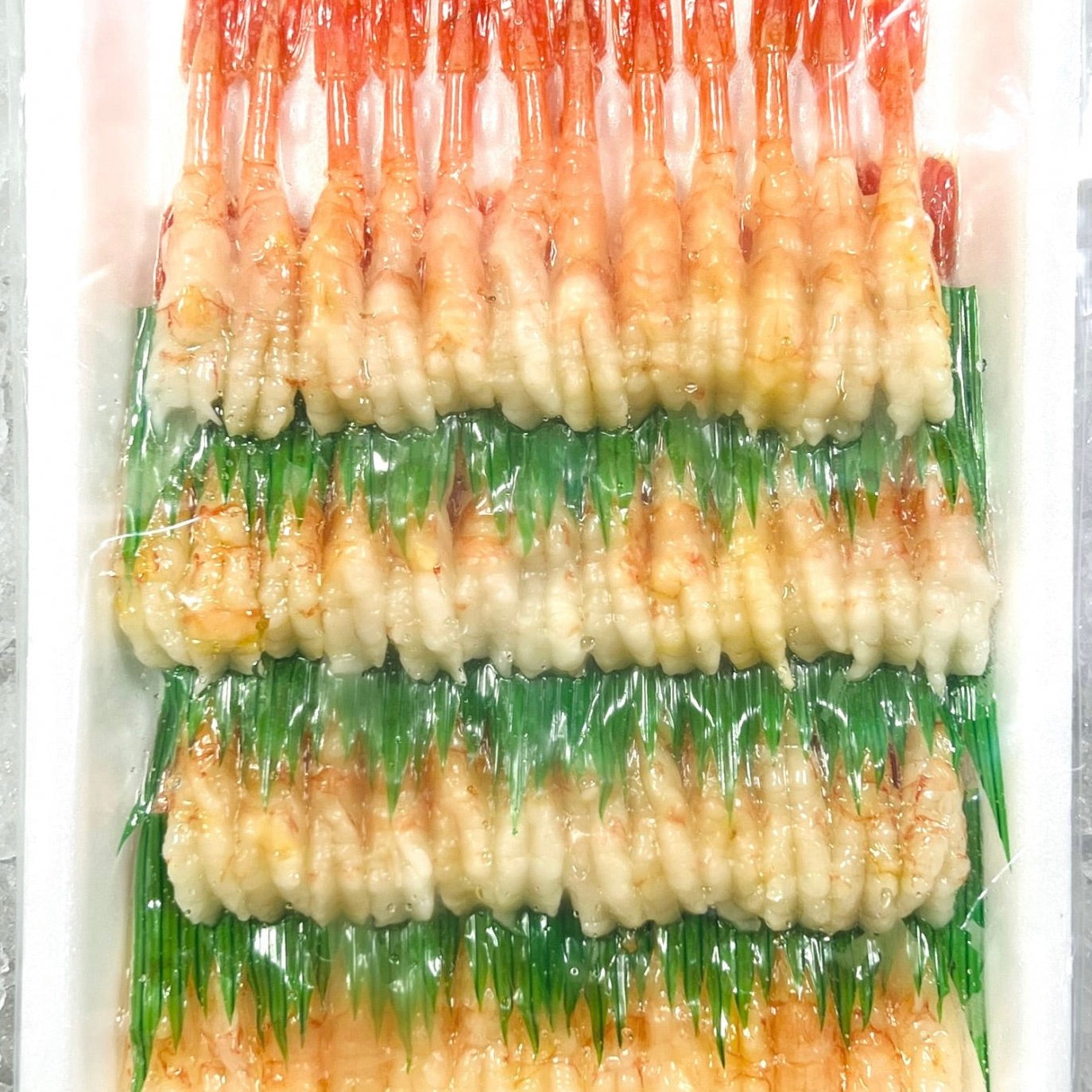 Sweet Shrimp Amaebi Peeled | Sashimi Grade | Japan | 50pcs