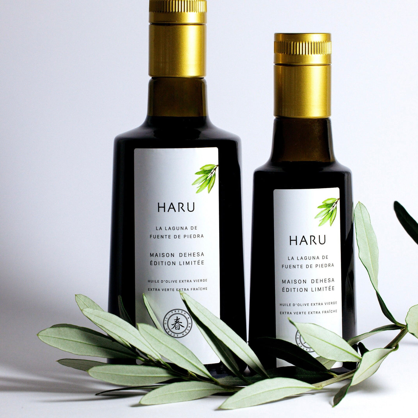 Olive Oil Extra Virgin Haru | 500ml