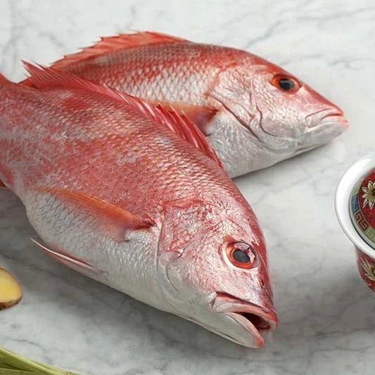 Red Snapper Whole Gutted | Malaysia | Frozen | +/-1kg