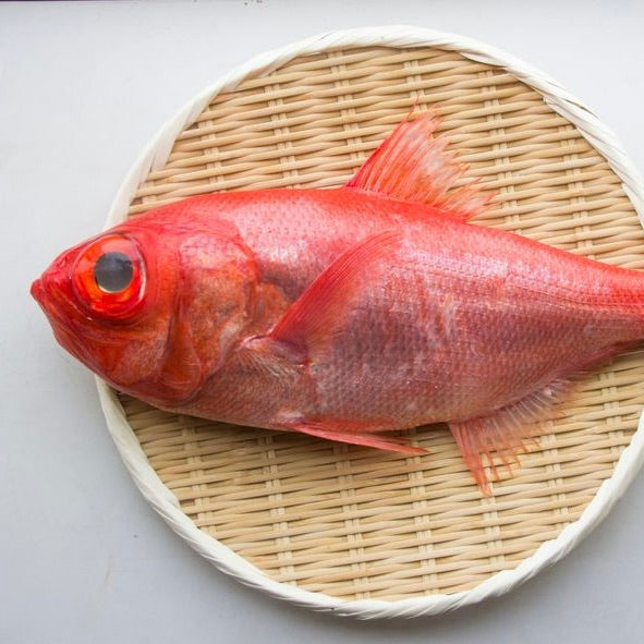 Red Alfonsino (Kinmedai) Whole Gutted | Sashimi Grade | Japan | +/-850g