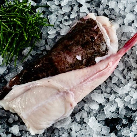 Monkfish Tail skin on | Denmark | Frozen | +/-1.6kg per pc