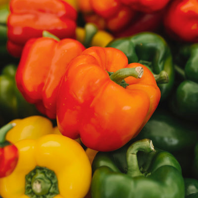 Capsicum baby mixed | Spain | 1kg