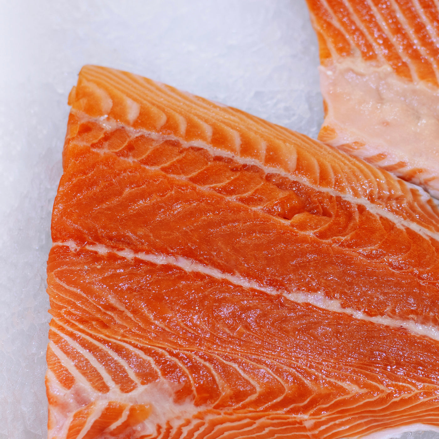 Salmon Fillet Boneless skinless | Norway | Frozen | +/-1.6kg
