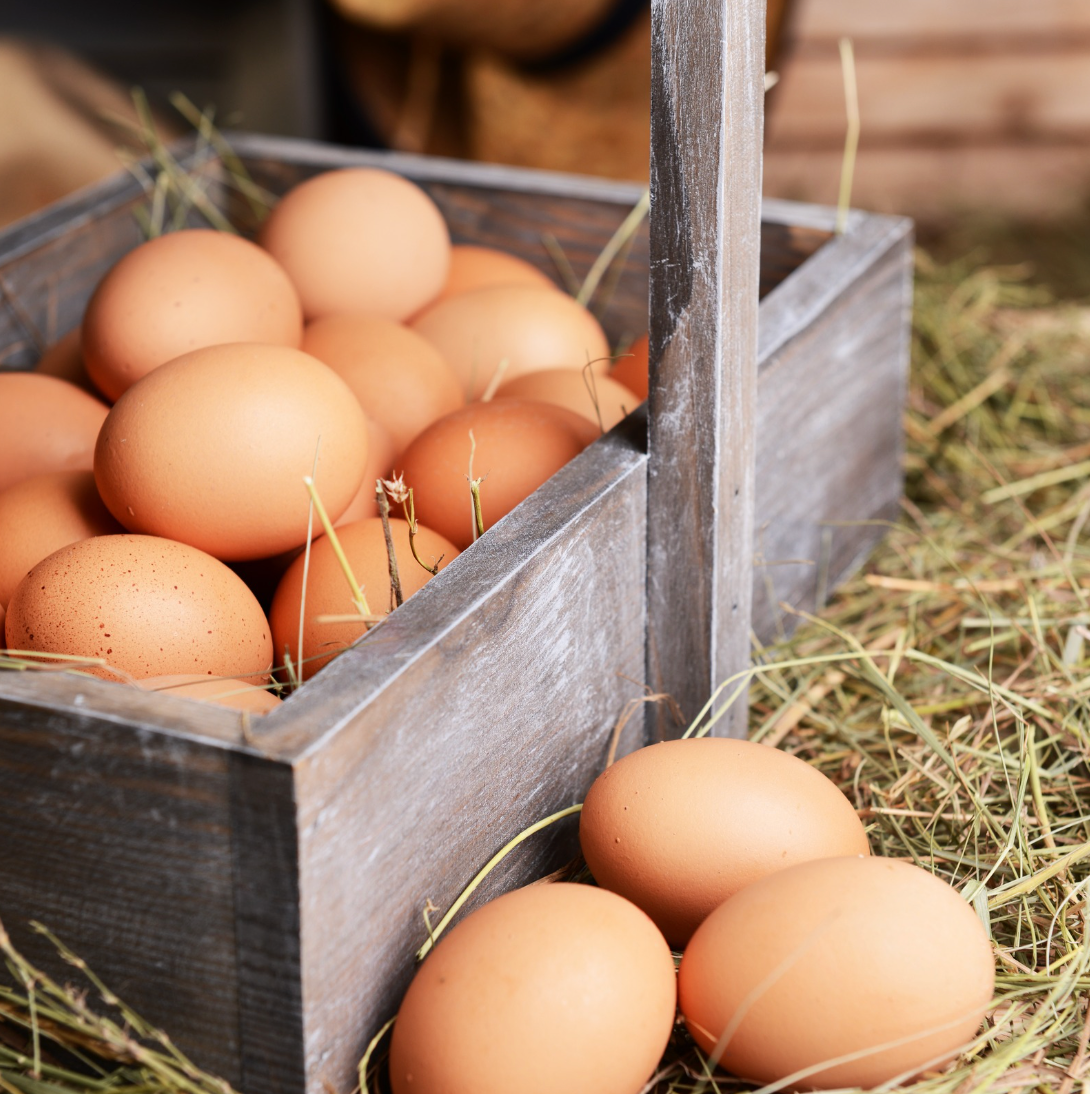 🥚 Organic Eggs | New Zealand | 30 pcs