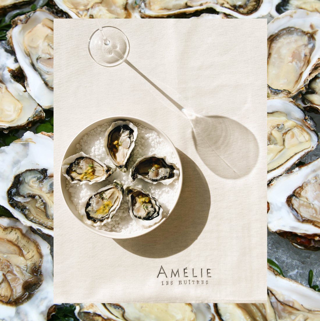 🦪 Oyster AMELIE FINE DE CLAIRE #3 | France | 24 pcs