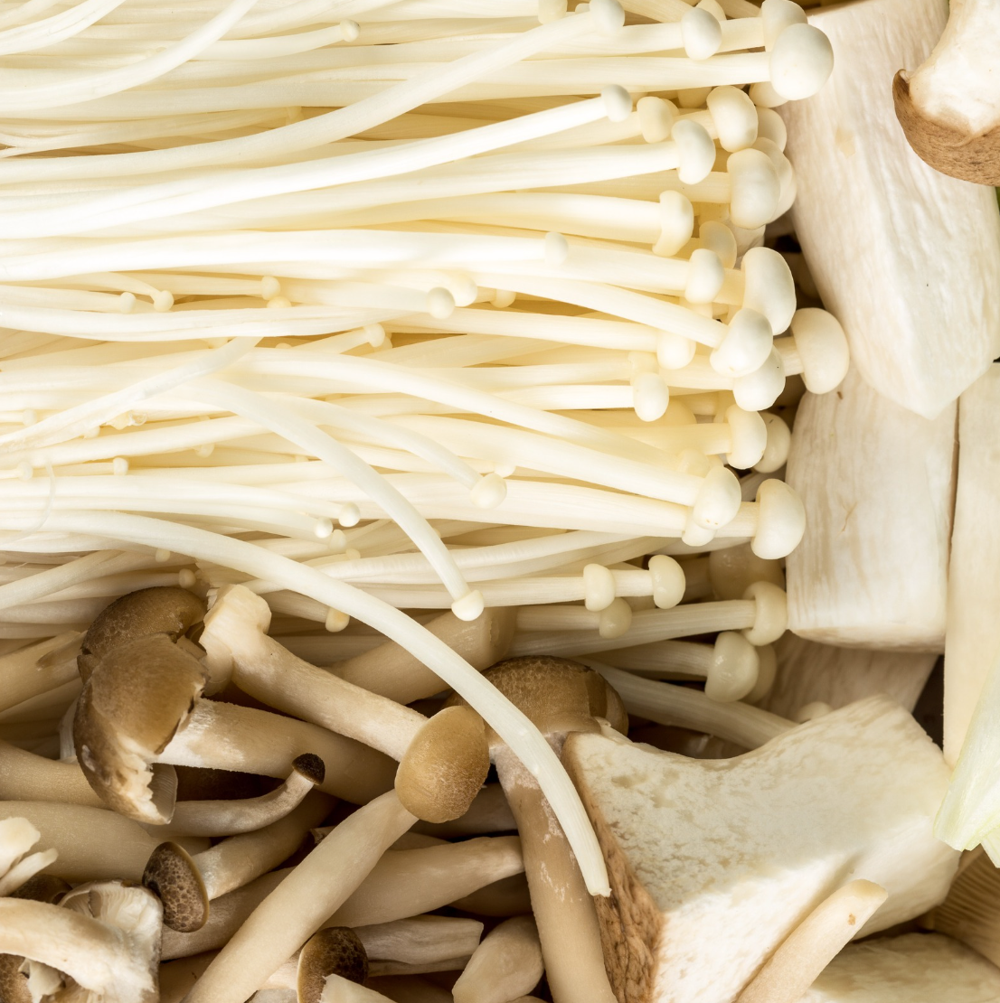 🍄 Mushroom Enoki | 100g --- BUY 1 GET 1 FREE