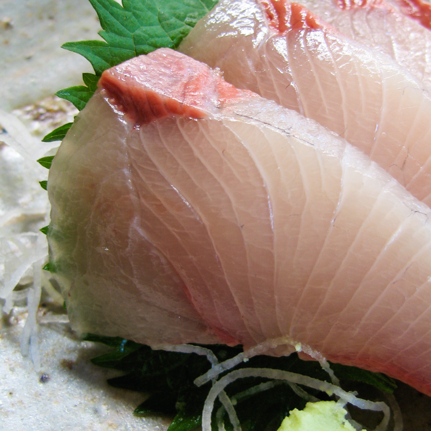 🐟 Yellowtail Kingfish Wild Buri Loin | Sashimi Grade | Japan | +/-550g