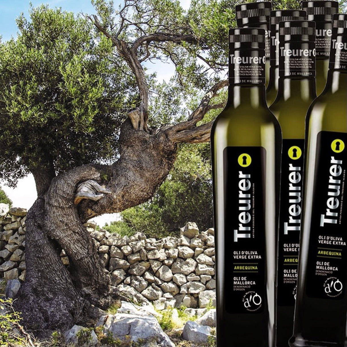 Extra Virgin Olive Oil Arbequina D.O Oli de Mallorca | 250ml