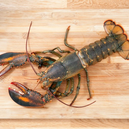 Rock Lobster Whole Raw | +/-350g