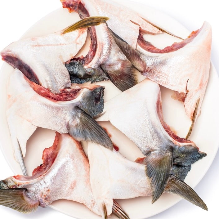 Yellowtail Kingfish Hamchi Collar Bone in | Frozen | Japan | +/-1kg