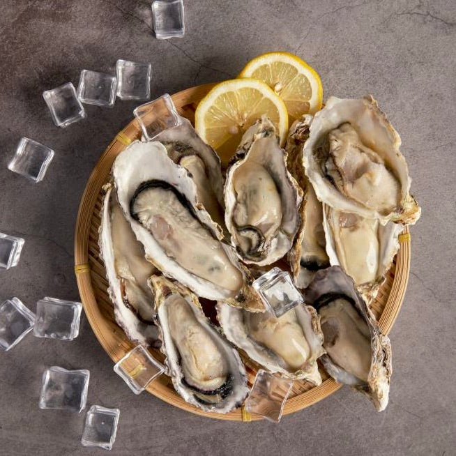 Oysters Half Shell N3 | Frozen | Box of 48 pcs