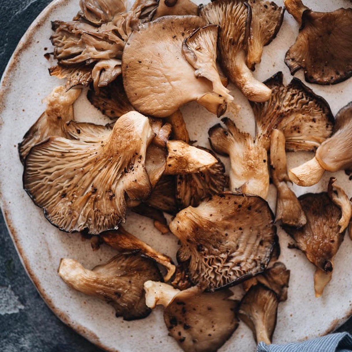 Mushroom Oyster | 200g