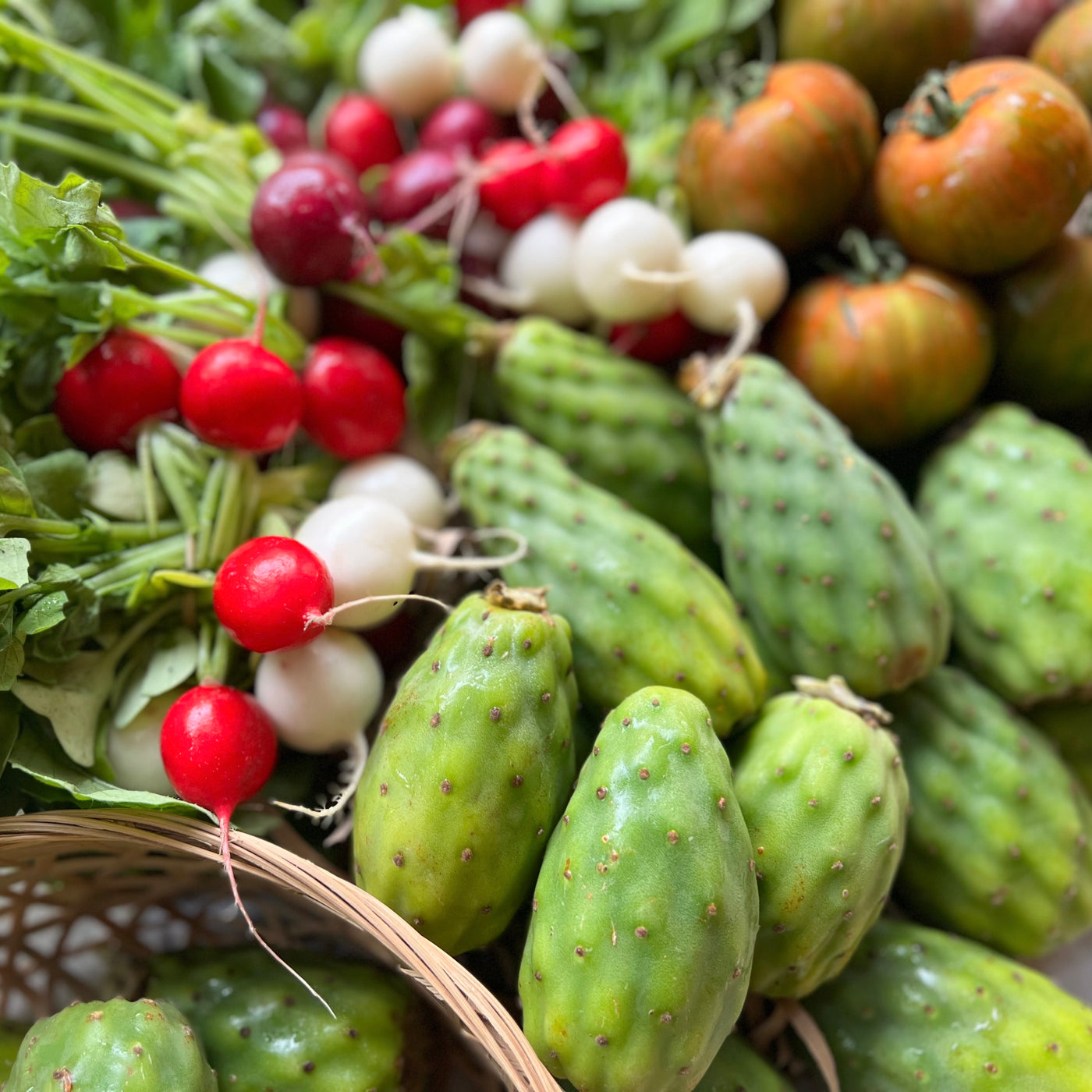 Cactus Figs | Colombia | 2.5kg