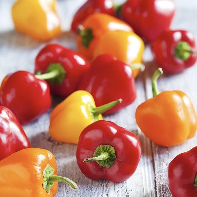 Capsicum baby mixed | Spain | 1kg