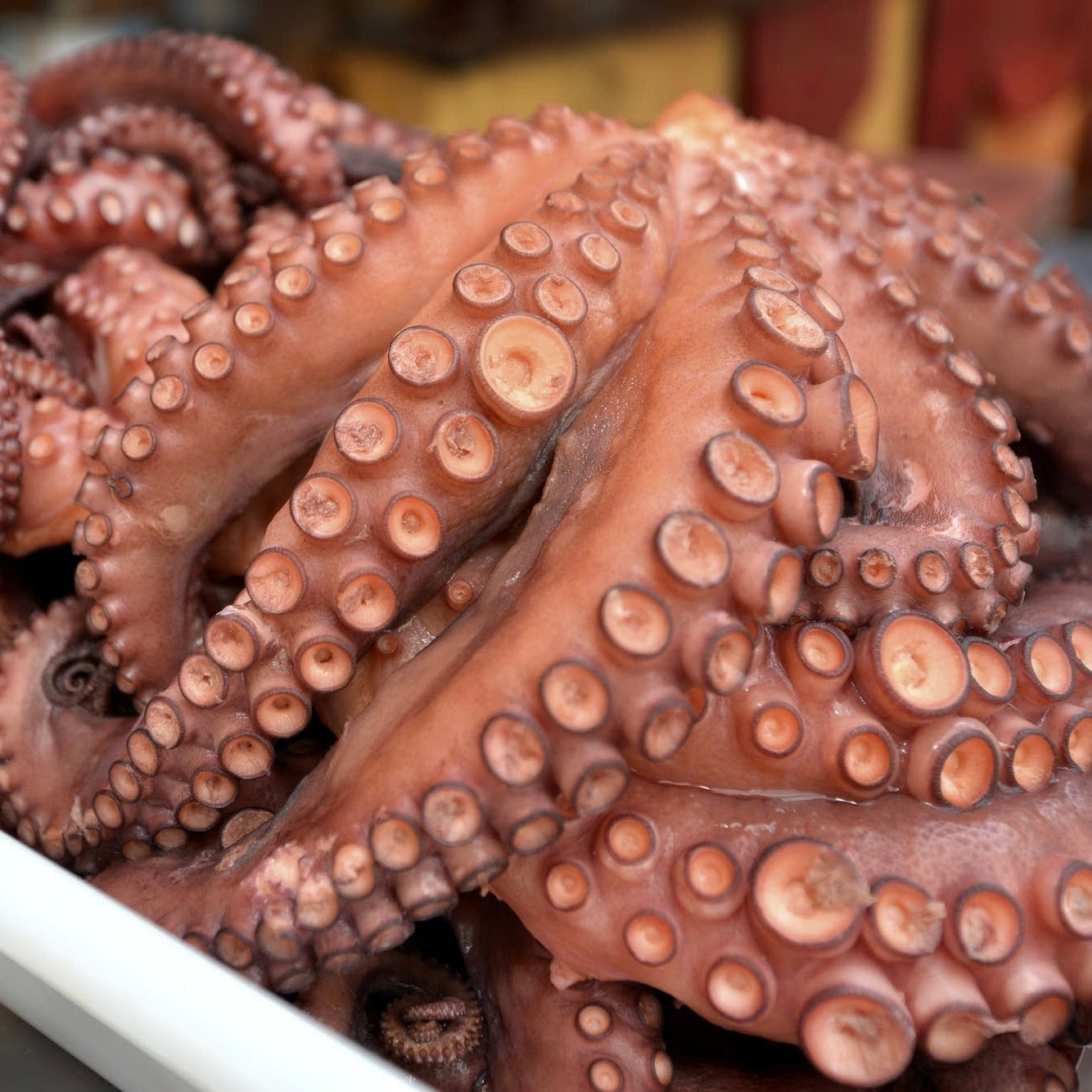 Octopus Tako Whole Boiled | Frozen | +/-1.7kg