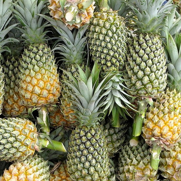 Pineapple Sarawak | Malaysia | pc