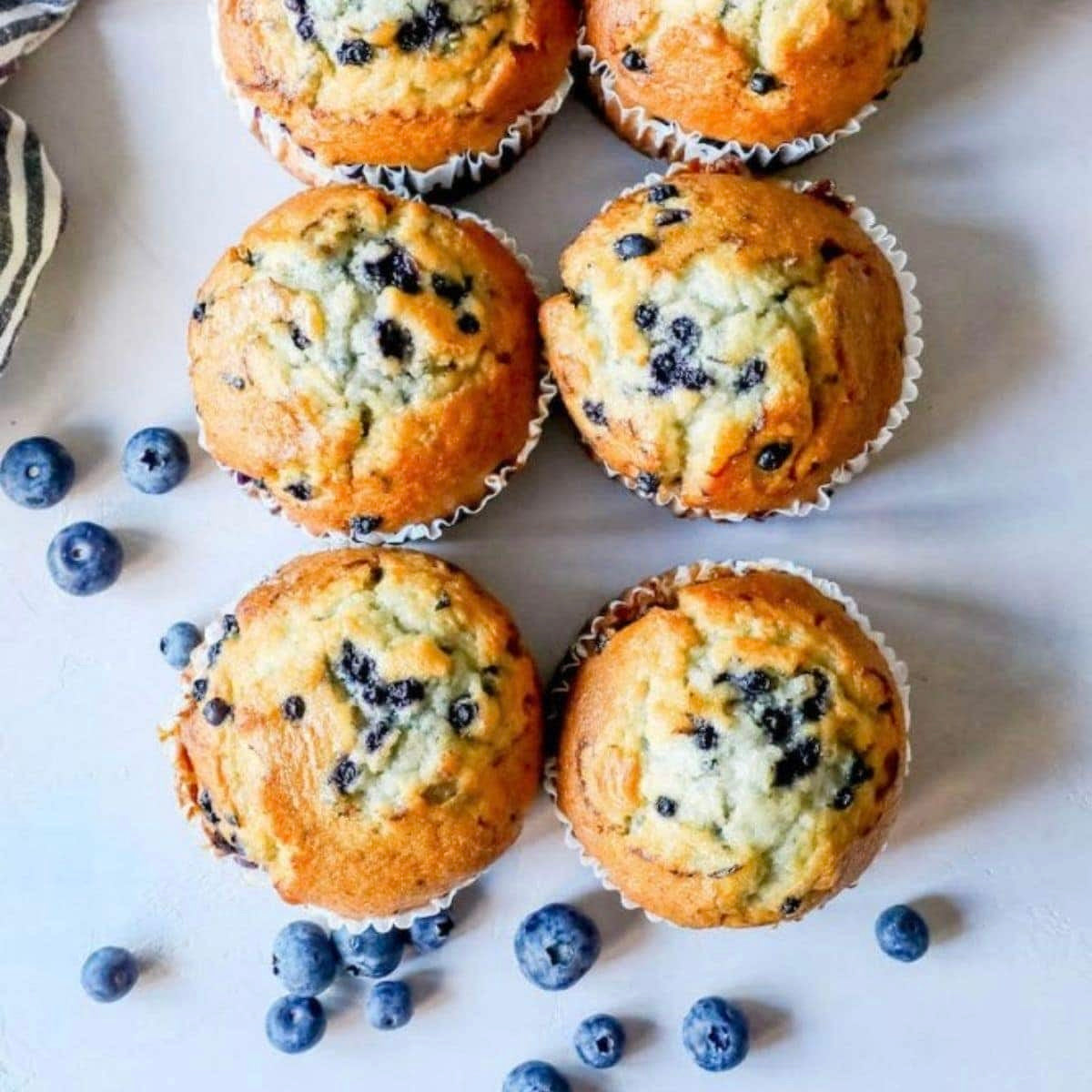 Blueberry Cheesecake Jumbo Muffin | 9pcs