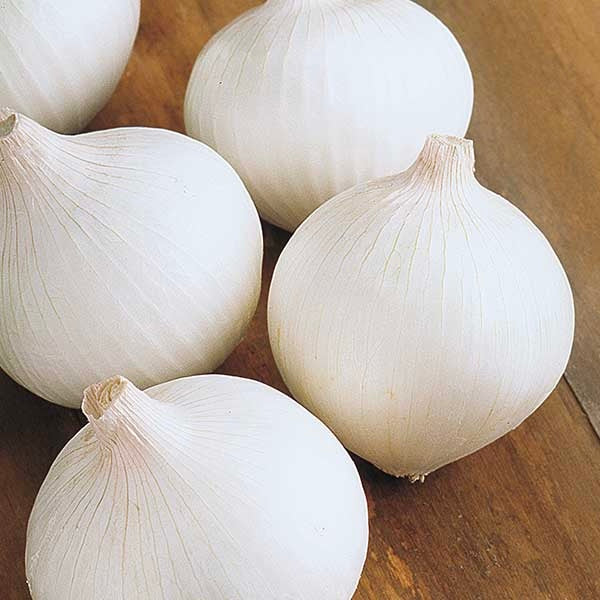 Onion White | Holland | 1kg
