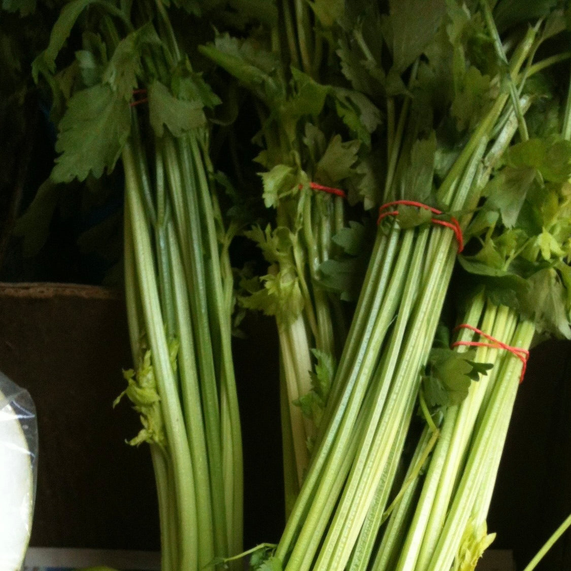 Celery Chinese | 1kg
