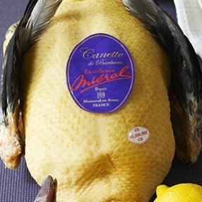 Excellence Duck Female Oven Ready | Bresse | +/-2kg 🇫🇷🦆