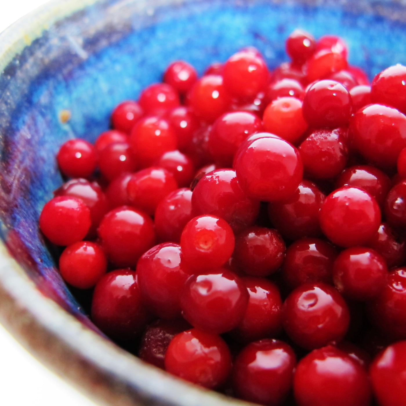 Lingonberries/Cranberries | Sweden | PONTHIER | Frozen | 1kg