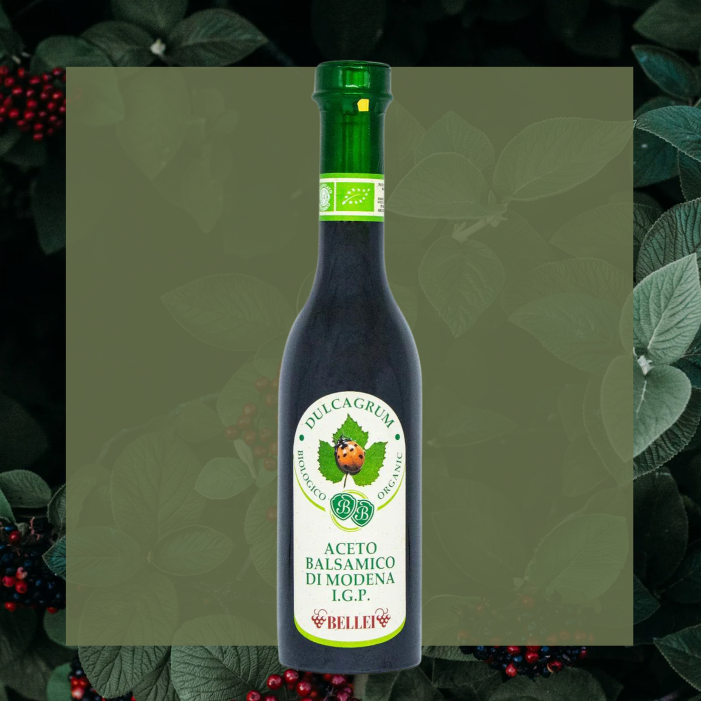 Organic Dulcagrum Balsamic Vinegar of Modena | 250ml