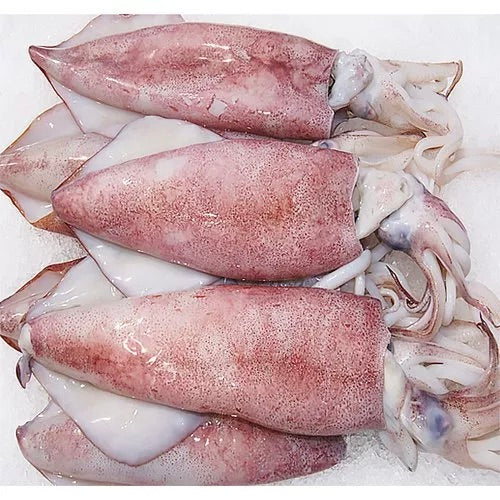 Loligo Squid Cleaned 10/20 | Vietnam | 1kg