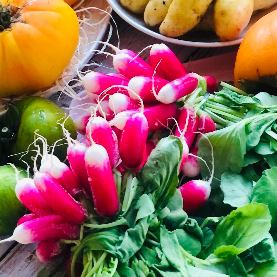 Breakfast Radish | Netherlands | 1kg