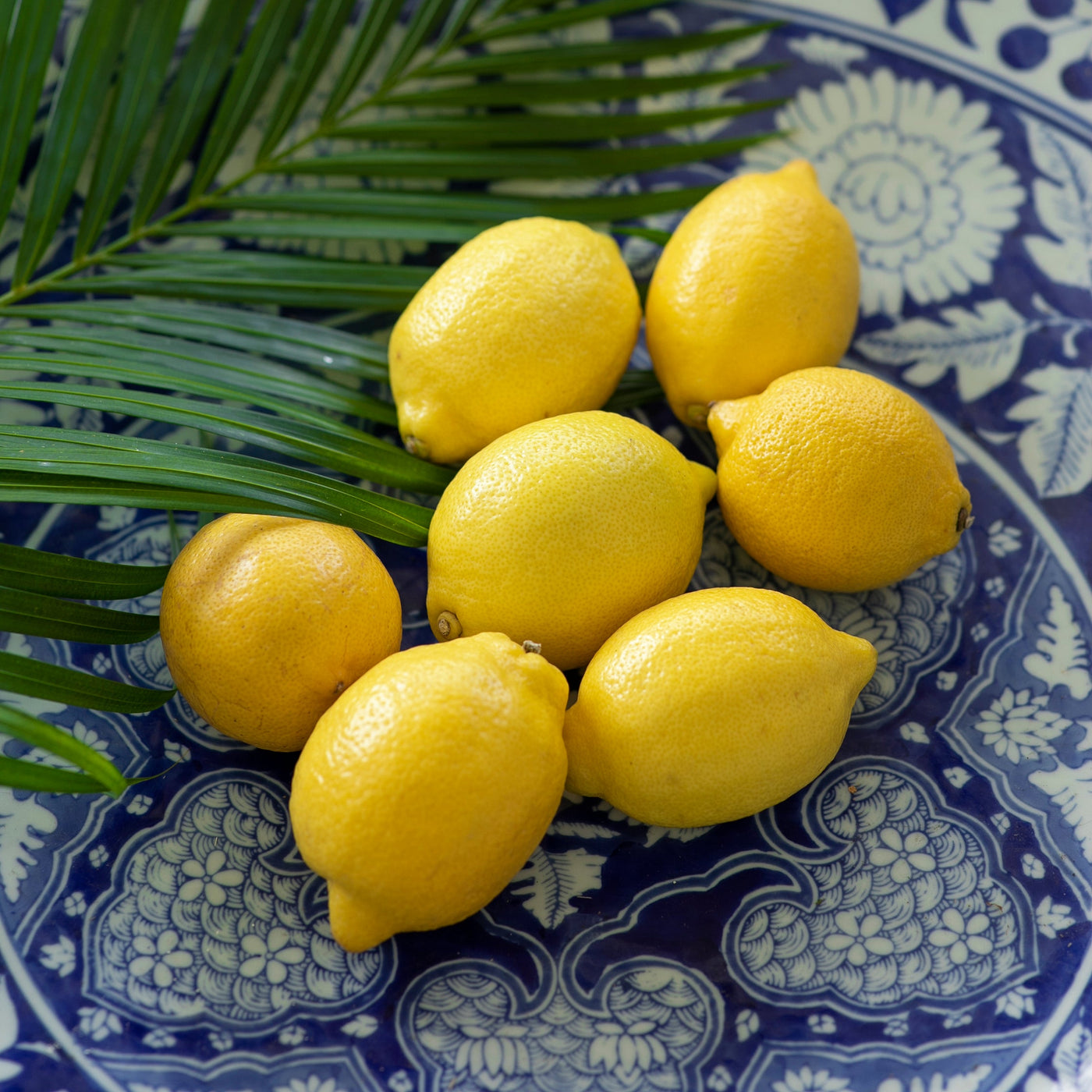 lemon-from-egypt-online-grocery-supermarket-delivery-singapore-thenewgrocer