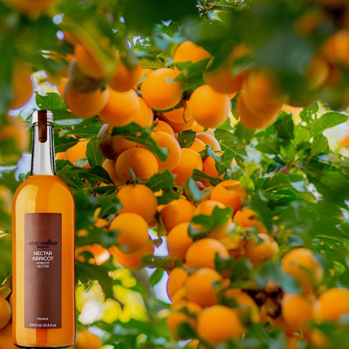 Apricot-nectar-alain-milliat-online-grocery-delivery-singapore-thenewgrocer