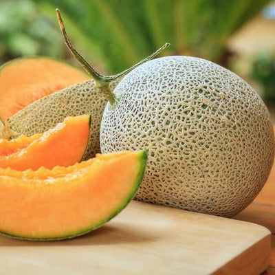 Rockmelon, Fruits and Vegetables in Singapore - The New Grocer