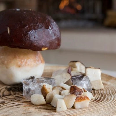Porcini Cork Mushroom | BORDE | Frozen | 1kg