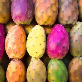 Cactus Figs | Colombia | 2.5kg