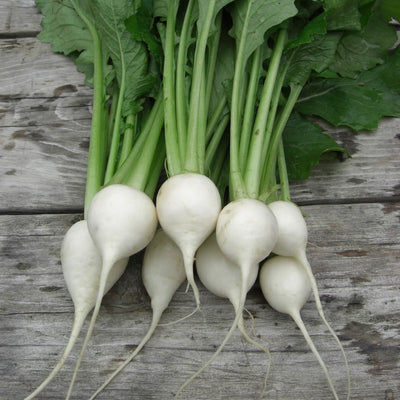 Baby turnip | South Africa | 6x200g