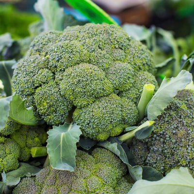 australian-broccoli-online-grocery-supermarket-delivery-singapore-thenewgrocer