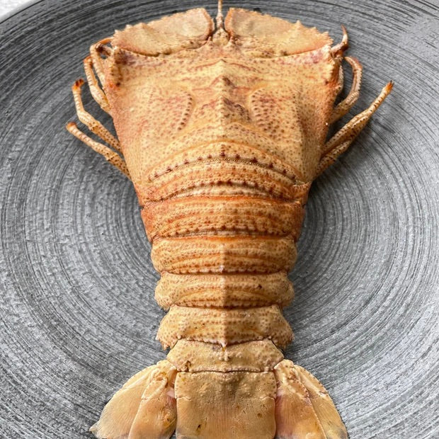 Slipper Lobster Half cut 100-150g | Frozen | 1kg