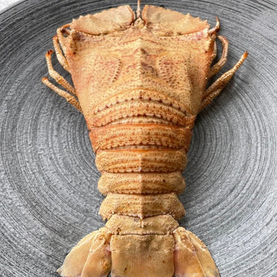 Slipper Lobster Half cut | Frozen | 1kg