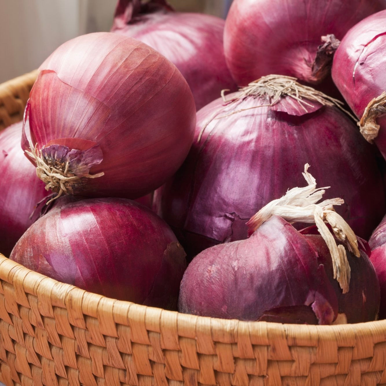 Onion Purple Spanish | 1kg