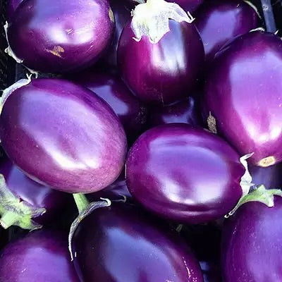 Eggplant Round | Australia | 1kg
