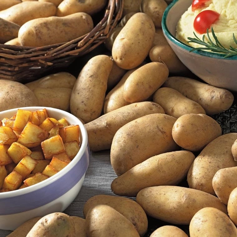 Russet Potato | +/-1kg