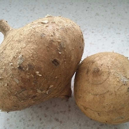 Turnip White MANG GUANG | 1kg